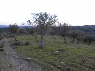 -2120461015361_L_97d63db8a3cc4c14b0605cca788be0f7_iList.jpg