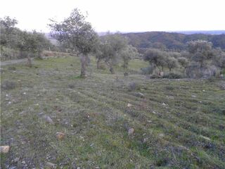 -2120461015361_L_ea518746b3bc4a35926d0890a93c3659_iList.jpg