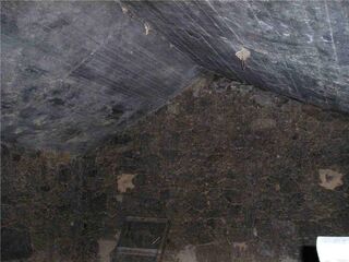 -2120461015370_L_6a8733a5ae4f493dbbdb97adb8ae3a26_iList.jpg