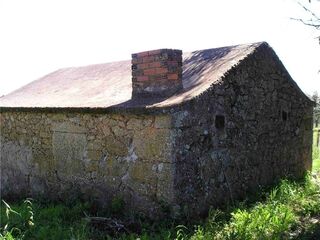 -2120461015370_L_d9e2bf68f2724e7e866d53ec77c4321e_iList.jpg