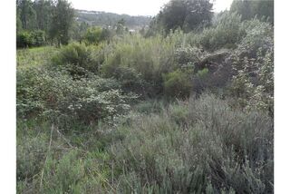 -2120461015619_L_f0f19aa494904ae1893f21bf61927053_iList.jpg