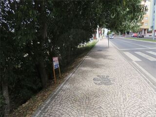 -2120461016275_07de79c8-981b-488b-85d0-1f644dcdaa75.jpg