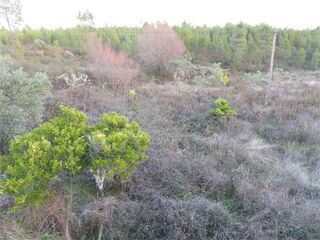 -2120461028694_3d4caa8c-7aa0-402f-a1f5-aac3aa889471.jpg