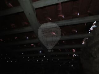 -2120461028777_629a0e63-8251-494c-8093-133c04b36cc4.jpg