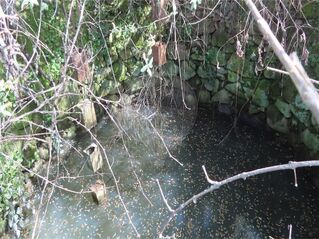 -2120461028947_7e3f61df-c980-4e7c-8142-159375b32ac0.jpg