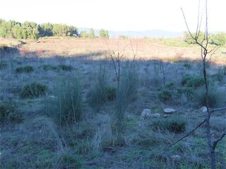 -2120461031367_68da5789-fddb-476c-be43-a45b645e2bcc.jpg