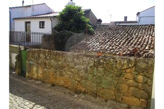 -2120461031418_72a79f90-8a68-4092-878e-dd21db1cd137.jpg