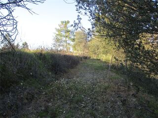 -2120461031426_6784f0e5-3ed2-49d0-9226-bf75e1e2246d.jpg