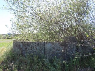 -2120461031433_2dd9cca5-4254-491e-98e0-6ec64bf4a90a.jpg