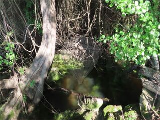 -2120461031494_bcdc08ff-1ed2-44ec-802d-f39f64cad4de.jpg