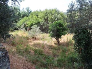 -2120461031549_4260ea5d-7fad-4568-b659-16e0d0fa6556.jpg