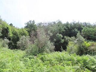 -2120461031549_d8e2c738-161c-4c5c-b9b8-cff979bd3fd2.jpg