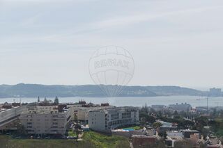 -2120511054389_b68e5ee1-5526-404c-bc7a-663db03dac0c.jpg
