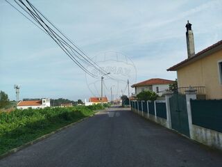 -2120511054487_294edcad-e069-4f09-99ad-b42a4c4f0eff.jpg
