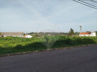 -2120511054487_3e6d5e99-1eac-412f-b225-746987b9fc4d.jpg