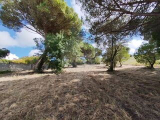 -2120521142266_12888c39-daf2-4118-9769-c44e424dbea3.jpg