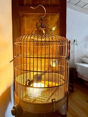 -2120521506006_60f610e3-2a19-45bb-bd53-ea9b7abffa73.jpg
