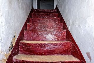 -2120581015020_ad0bec8d-5d80-4a26-a3af-1dfb0709ed10.jpg