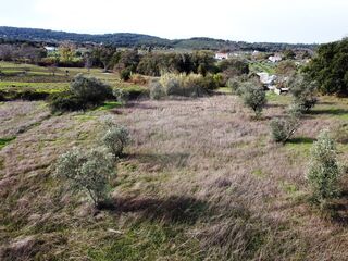 -2120581060747_a07bc3a3-9bb3-46d1-aab1-703ddefe9f4c.jpg