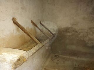 -2120581090400_242397d7-47f6-4312-80e0-4555c69a90f8.jpg
