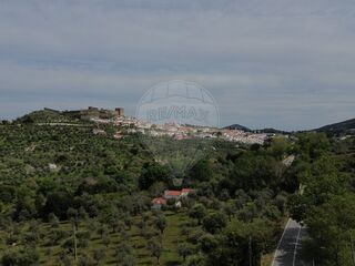 -2120581090453_2bf48f14-7ed3-4e82-85e6-64c6741405e7.jpg