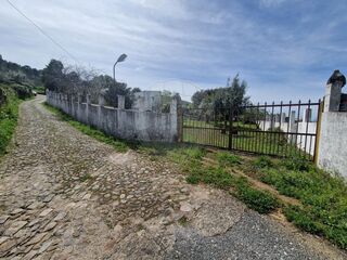 -2120581090453_81bed2e9-1655-46e3-870a-3531bc44926e.jpg