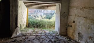 -2120581090470_8a126cdd-a70f-482e-91d5-c7e326508e59.jpg