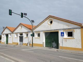 -2120581091372_48b6ef98-43e9-4527-aff3-aa14fbaf4c94.jpg