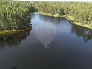 -2120581145118_265accdc-23a9-4c1b-a070-001d9e6ae2ea.jpg