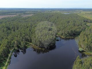 -2120581145118_b94a80a5-0680-44b8-958f-aa952e74bfcb.jpg