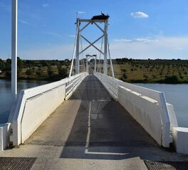 -2120581154081_cedc190a-3c86-4d1e-9d9d-e838d98b22e0.jpg