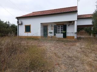 -2120581154101_92cde749-aa8d-4243-a883-fadedb297cea.jpg