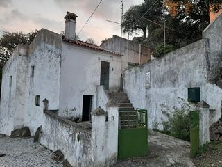 -2120581172017_04ebbac3-8df3-44c4-9081-62a6c688bee4.jpg