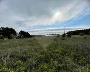 -2120611321278_1c229b9e-3772-4a34-bb8b-c4d1c30fa25b.jpg