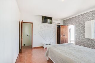-2120611573161_ee2fcb90-abce-4e29-9688-13d017cf53cc.jpg