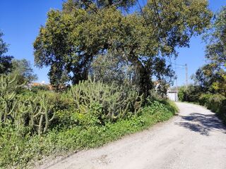 -2120611943015_53808232-61d7-4cb4-96ff-58e6b0e7598a.jpg