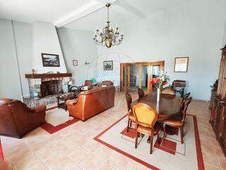 -2120631830124_88663fc9-1174-4e43-80d3-5f94bf683240.jpg