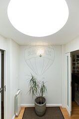 -2120781150218_5a614253-b064-4dfb-8e27-ac0ce98d4e75.jpg