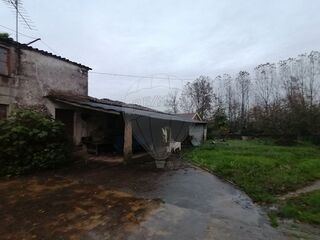 -2120781278047_7119e9e0-3d2d-414c-bc68-464924f61e41.jpg