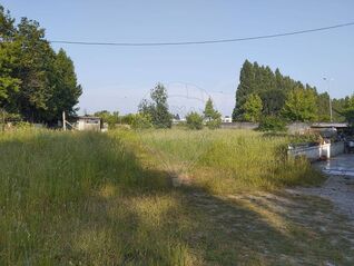 -2120781402036_4409ef34-cf65-4e50-8f17-38d0f983ed14.jpg