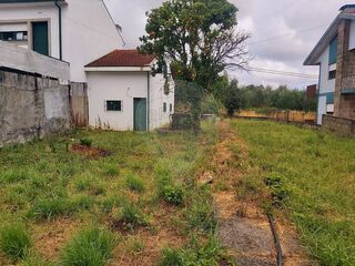 -2120781536013_33e53461-a98b-4ad3-8e65-2adfee53ffb7.jpg