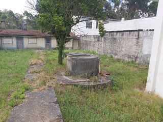 -2120781536013_4b0a6cf9-bdee-4e6a-93de-1bf1ad9dc6b3.jpg