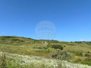 -2120801128493_299d64ce-ff09-4eb0-b4ae-64bffd44baef.jpg