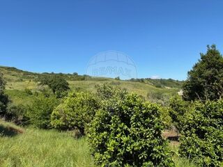 -2120801128493_6ea032cb-851c-4171-9531-67d35639c2f7.jpg