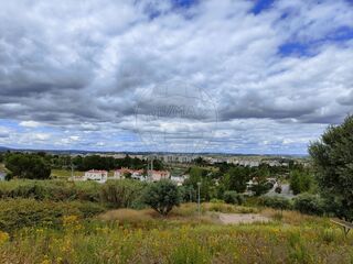 -2120941040012_aa3a6f0b-51dd-4f44-aeca-7976466cf92d.jpg