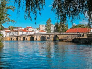 -2120941040027_89f89a0c-b5e7-4800-9b42-d026b0e9b9bf.jpg