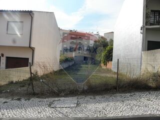 -2120941071428_10014801-1472-4727-b051-ef17aeafee10.jpg