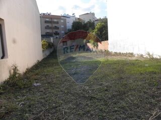 -2120941071428_4de5f5ec-cd63-4e0b-9cf7-b4f5de795621.jpg