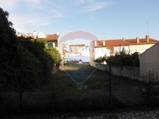 -2120941071428_52d65ad1-3654-41bc-8979-2ac3600b0525.jpg