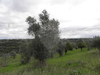 -2120941071484_73c1ccaa-3972-45a3-ac25-c090181b8cfe.jpg